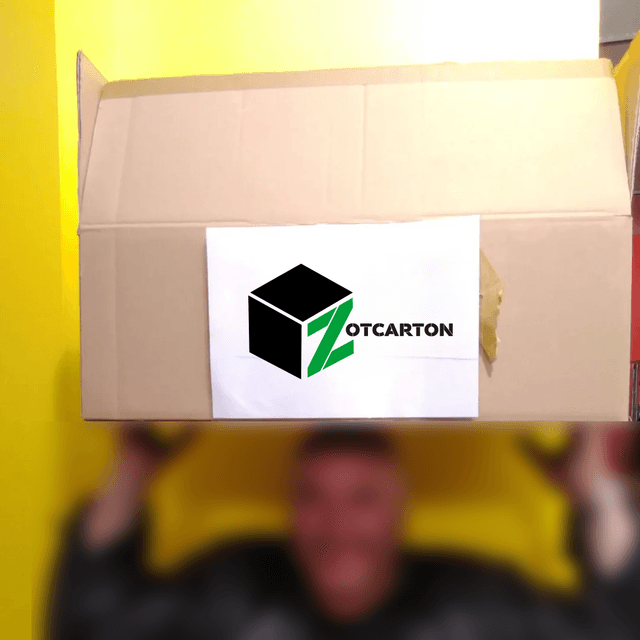CARTON DE DÉMÉNAGEMENT TAILLE L